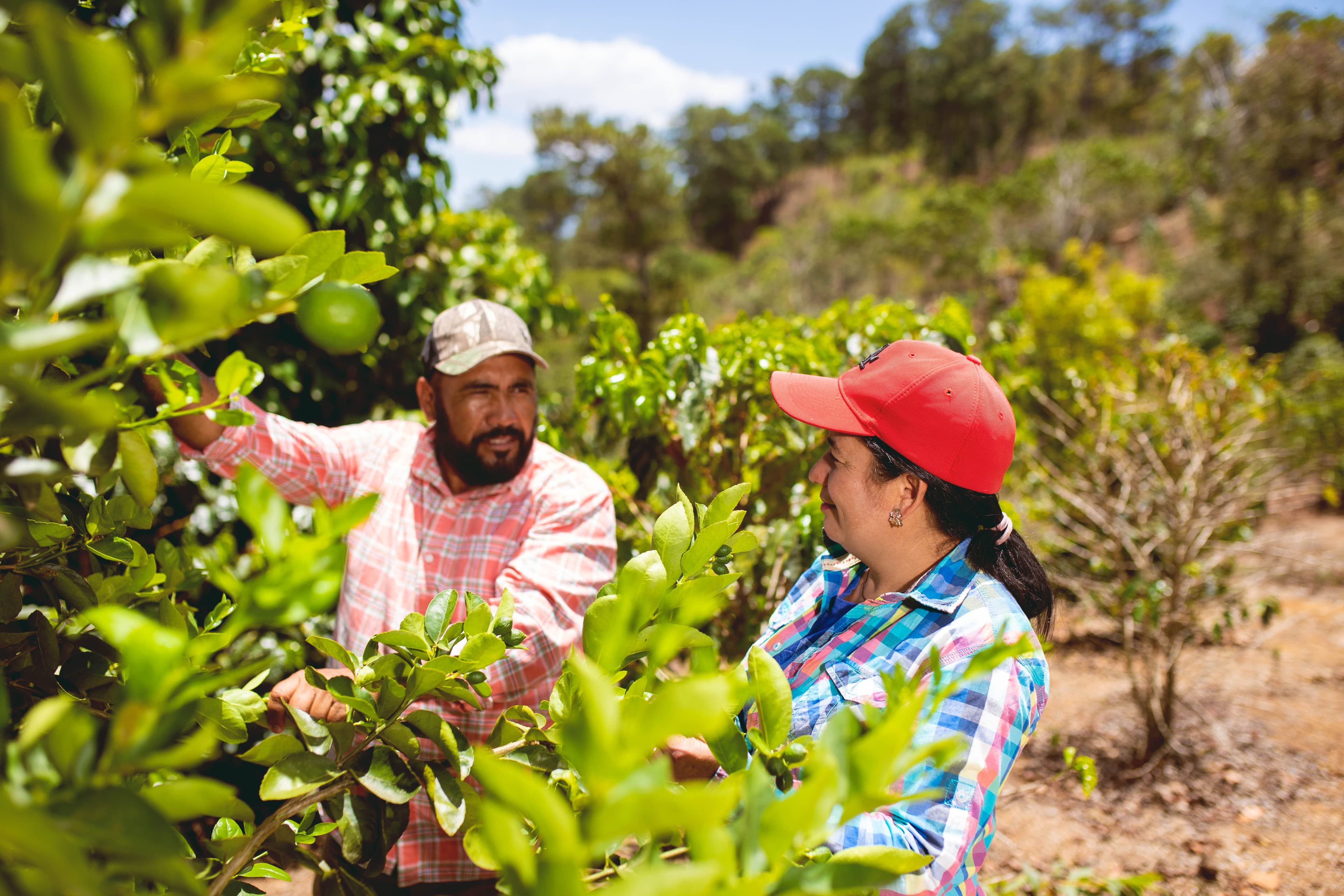 Addressing Megatrends in the Upcoming Five Years Honduras