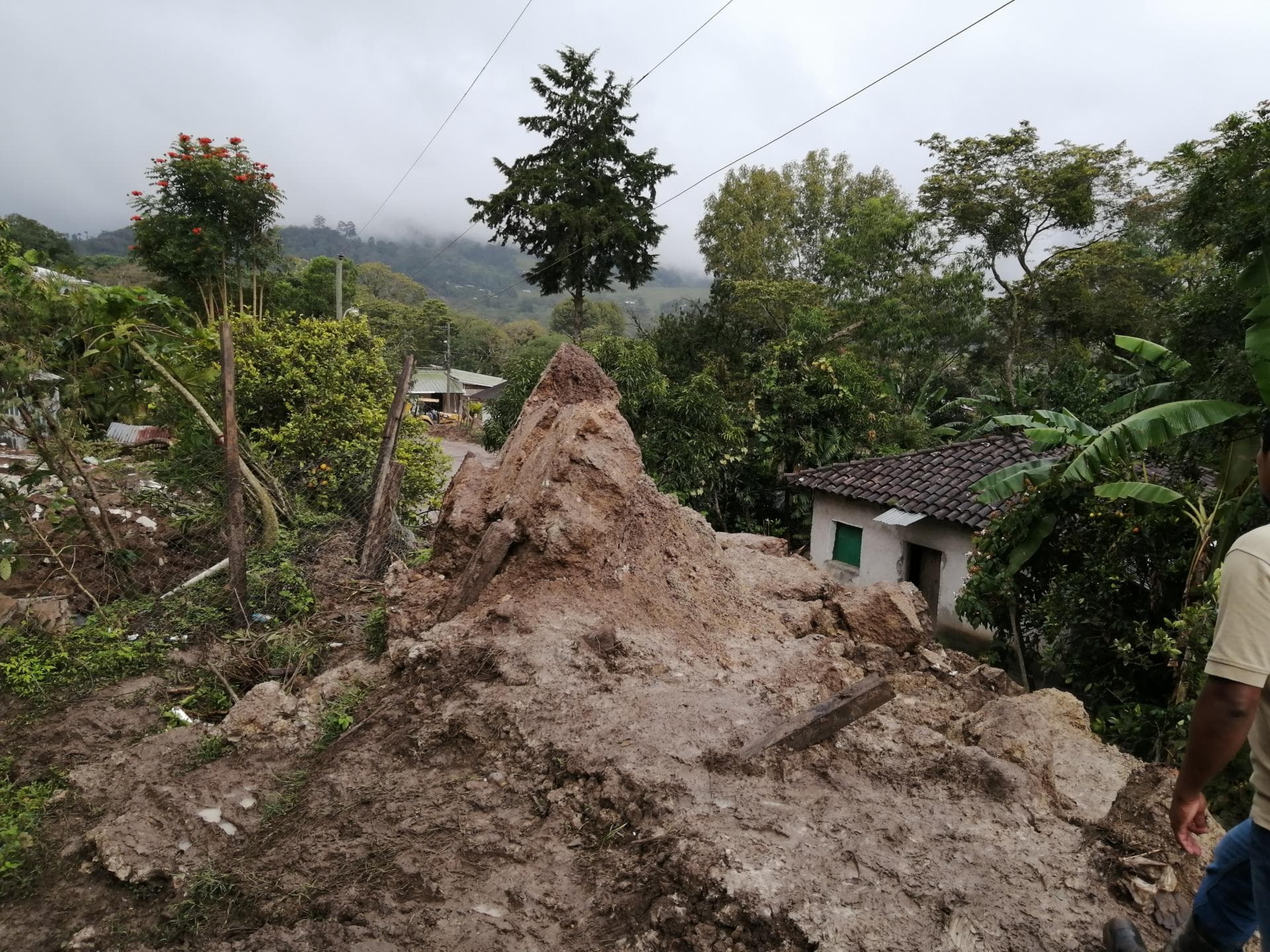 International Coffee Partners (ICP) Provides Emergency Relief Fund for Smallholder Families After Hurricanes Eta and Iota International Coffee Partners (ICP) Provides Emergency Relief Fund for Smallholder Families After Hurricanes Eta and Iota