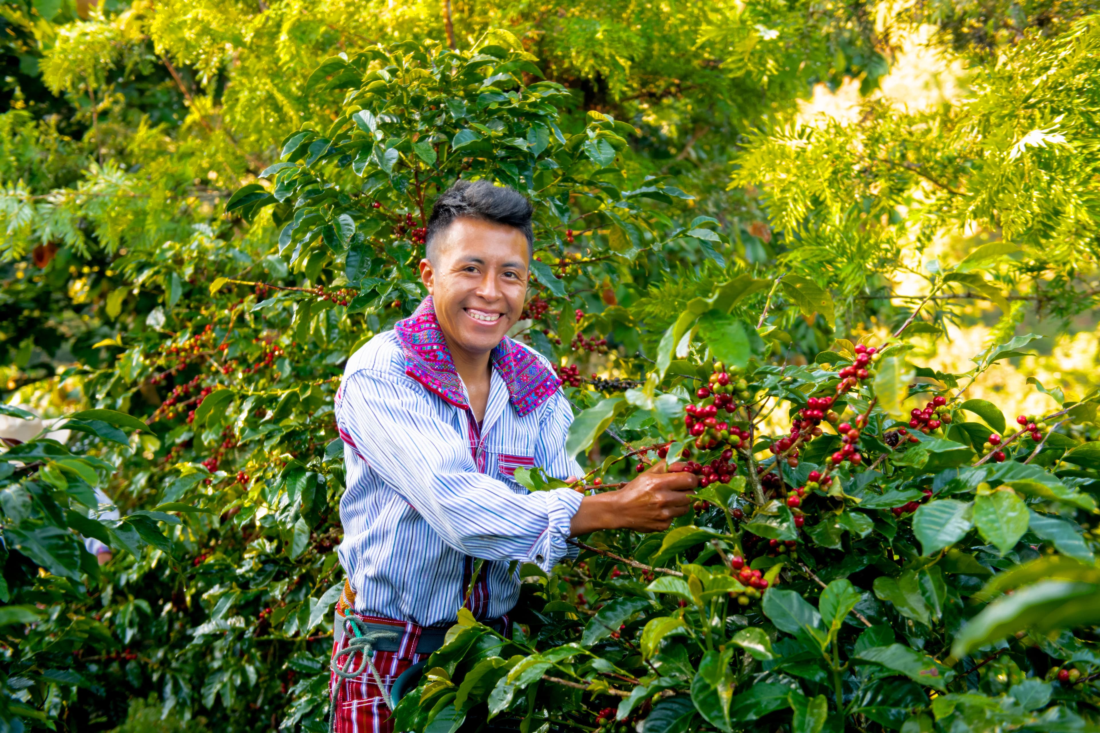 Smallholder farmer Smallholder farmer
