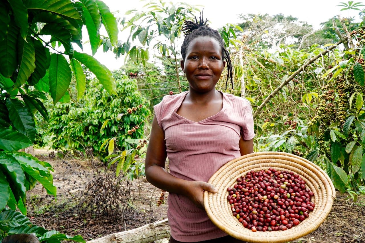 Alleviating the impact of COVID-19 on farmers in Uganda and Tanzania Alleviating the impact of COVID-19 on farmers in Uganda and Tanzania