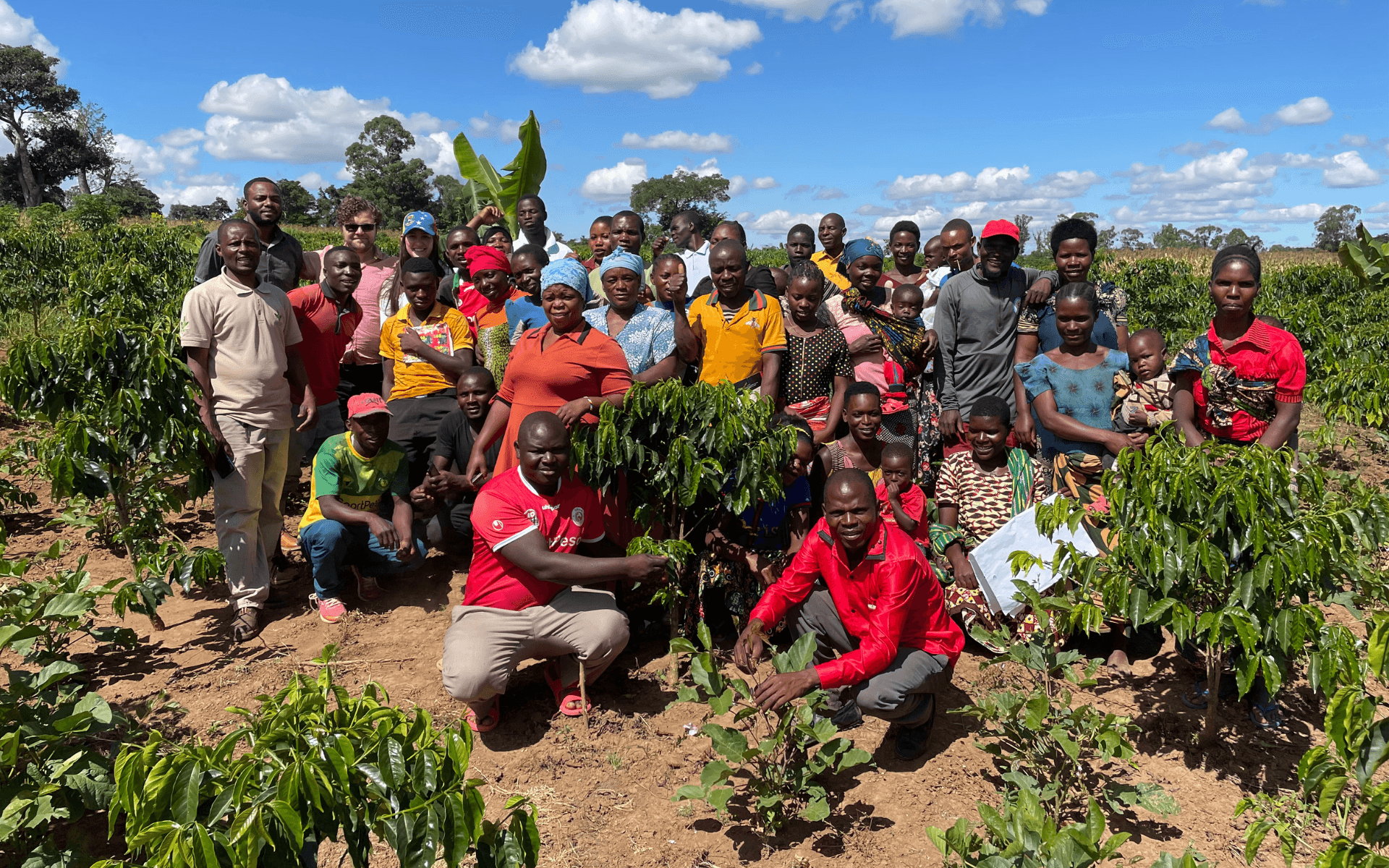 Visiting Tanzania – A Glimpse behind the Cup of Coffee Visiting Tanzania – A Glimpse behind the Cup of Coffee