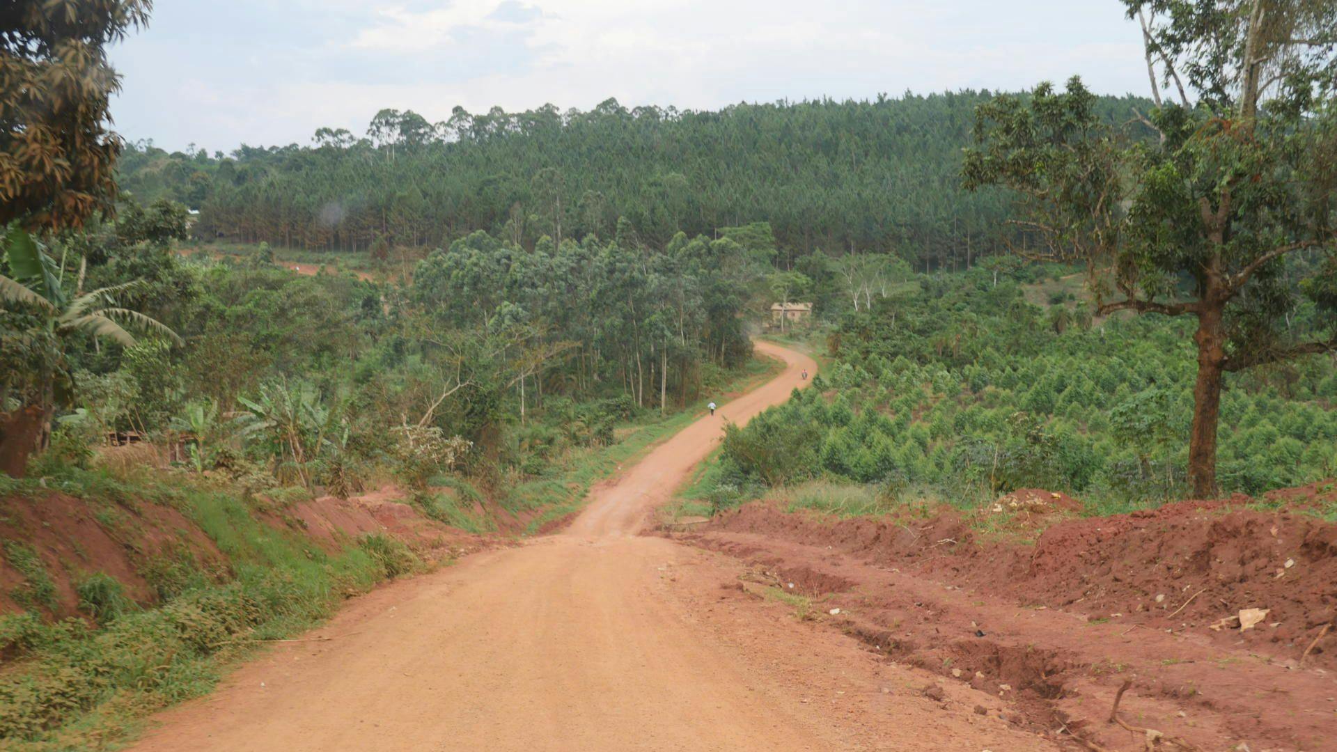 Rural road in Mityana District