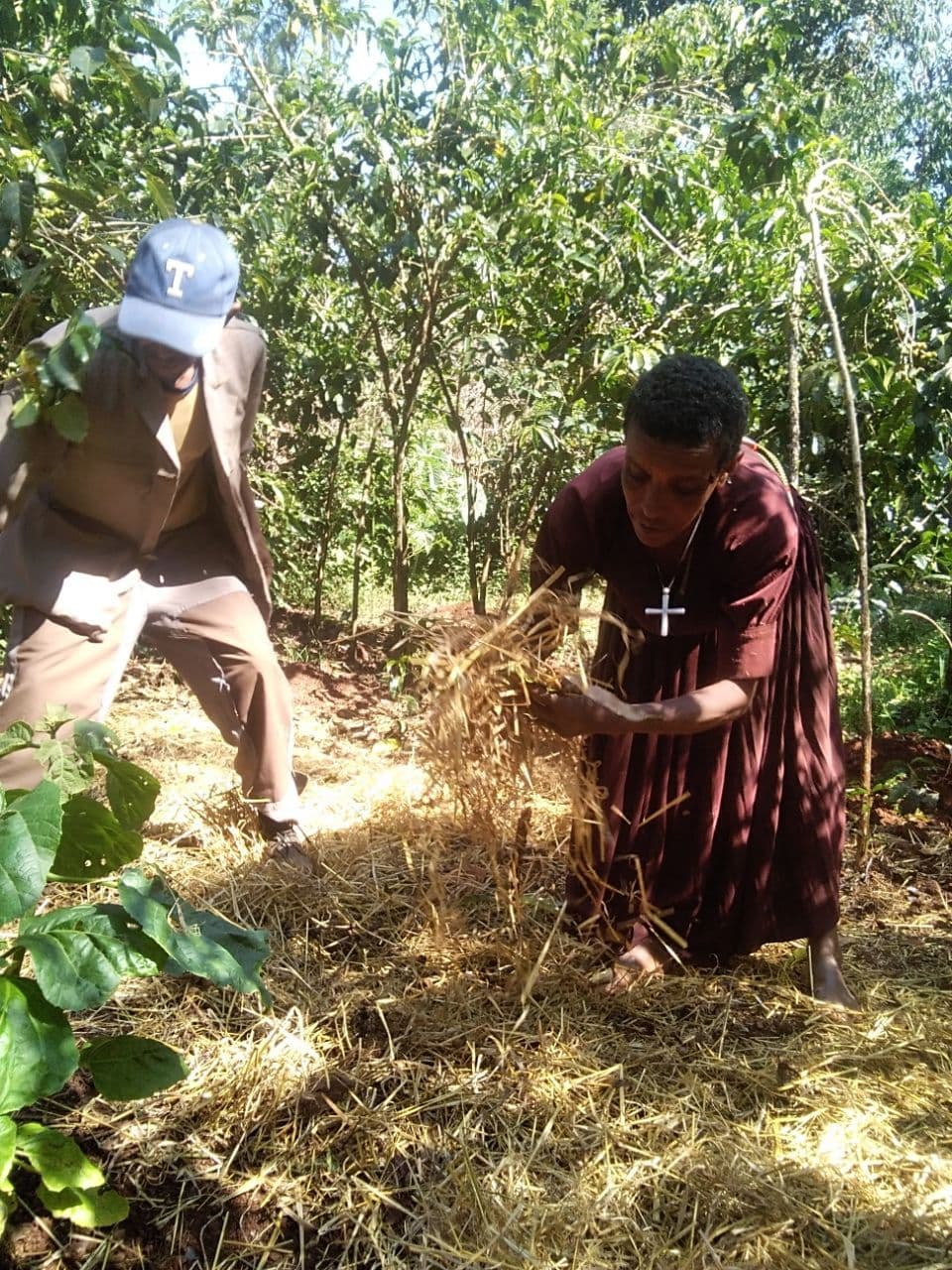 Belete and Yetubie at Mulching