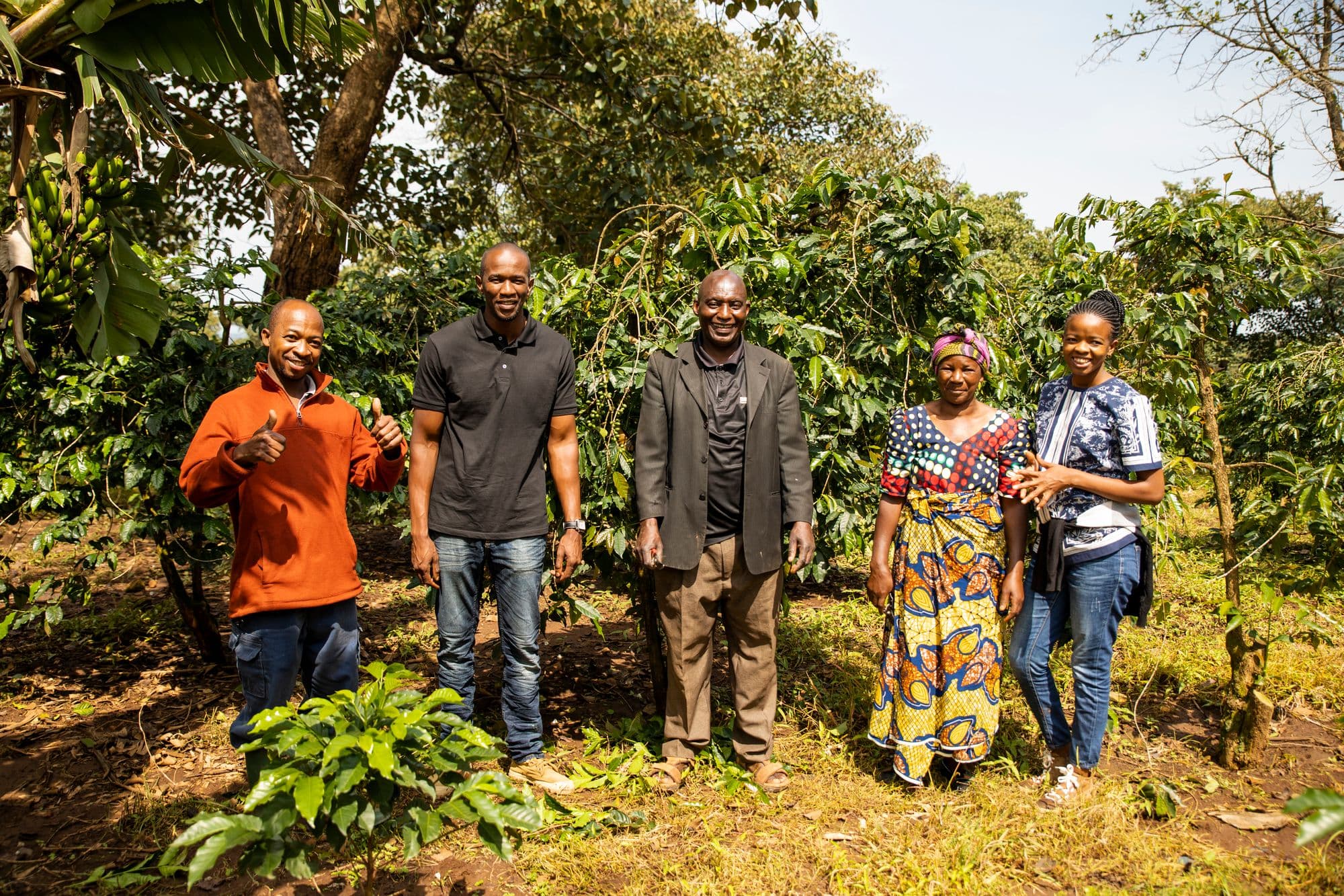 International Coffee Partners International Coffee Partners
