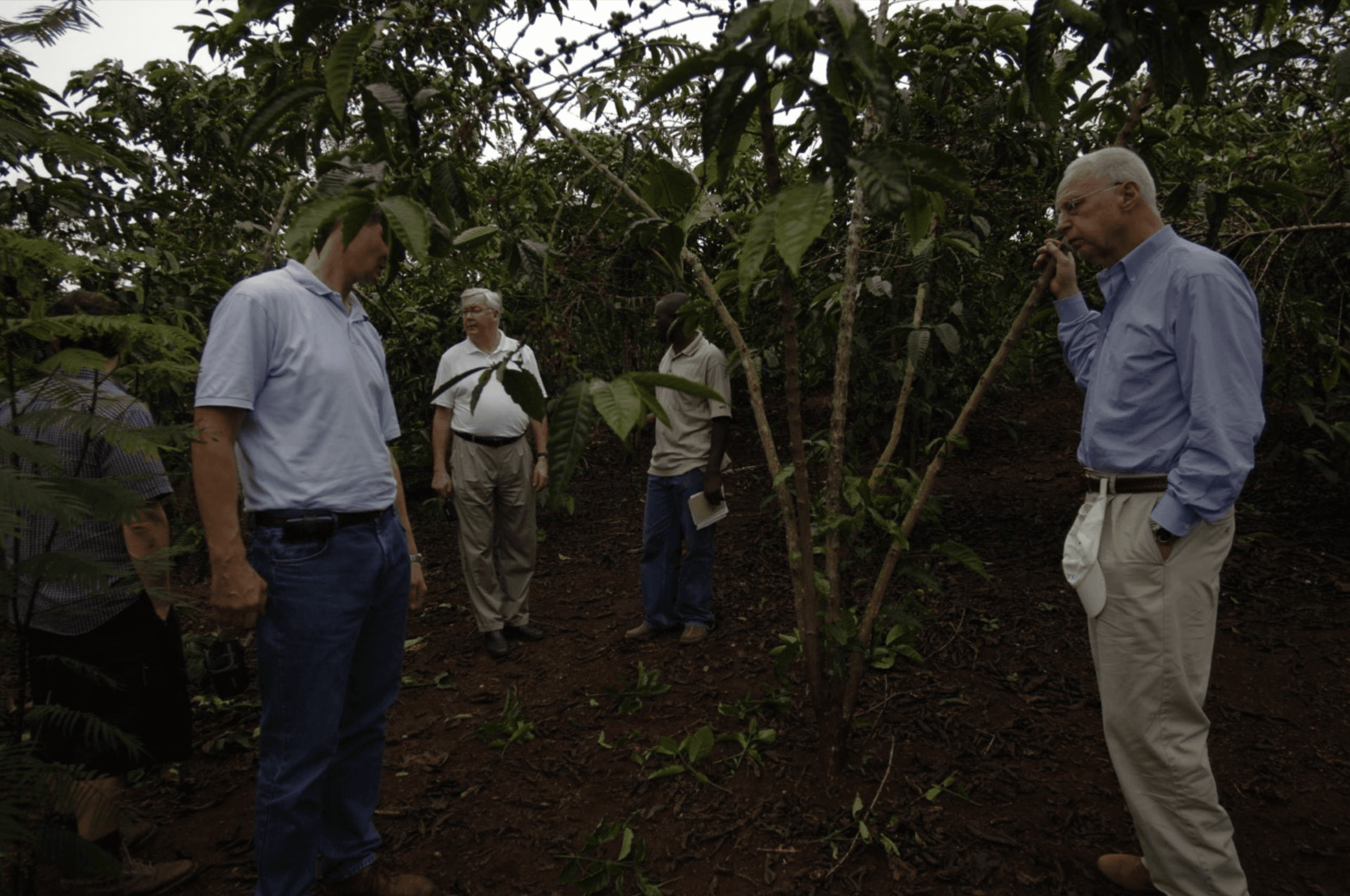 ICP field visits ICP field visits