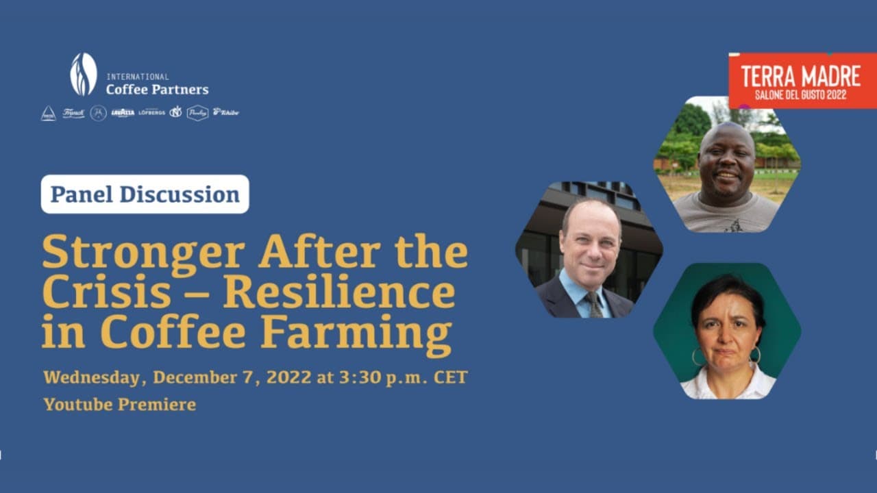 Stronger After the Crisis - Resilience in Coffee Farming Stronger After the Crisis - Resilience in Coffee Farming